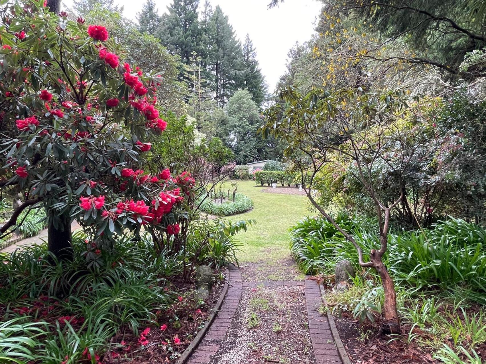 Garden Paradise In Rotorua With Pool Екстериор снимка