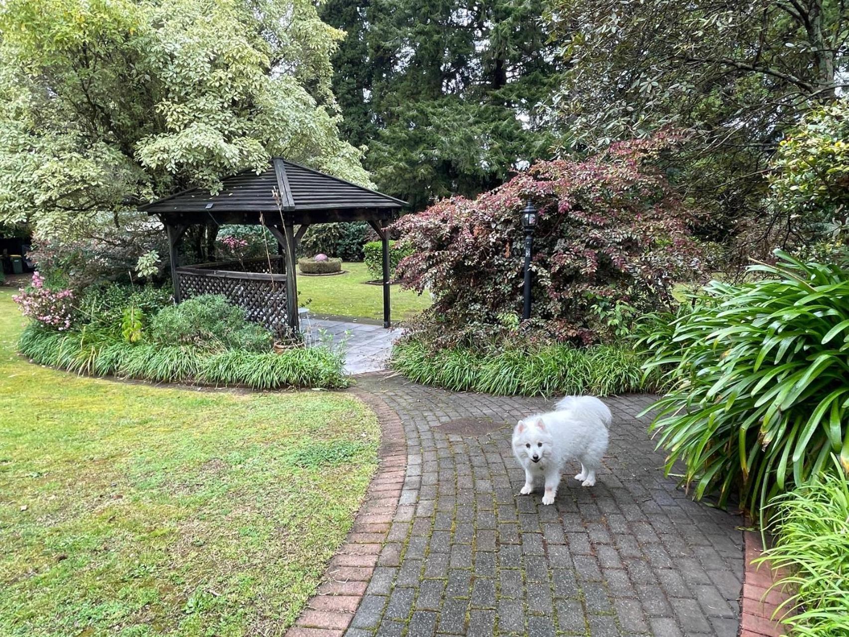Garden Paradise In Rotorua With Pool Екстериор снимка